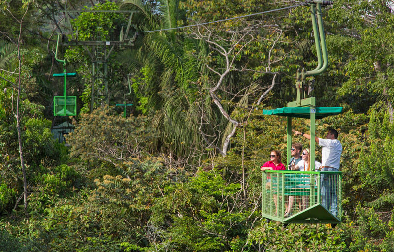 Teleférico Gamboa y Exhibiciones de Vida Silvestre photo